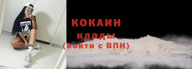 ешки Ладушкин