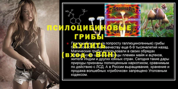 трава Лабытнанги