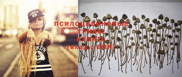 MDMA Лагань