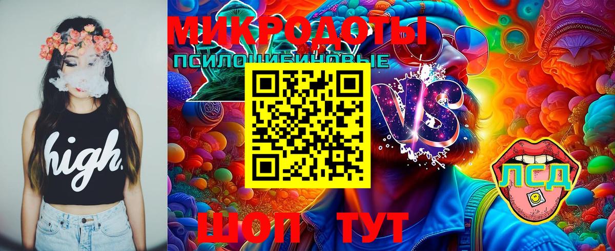 Камышин  Псилоцибиновые грибы ЛСД  Вход с VPN 