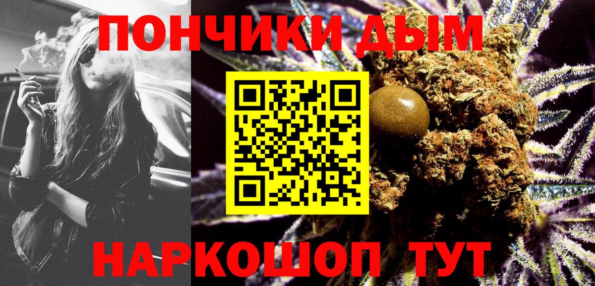 Бошки Шишки планчик Камышин